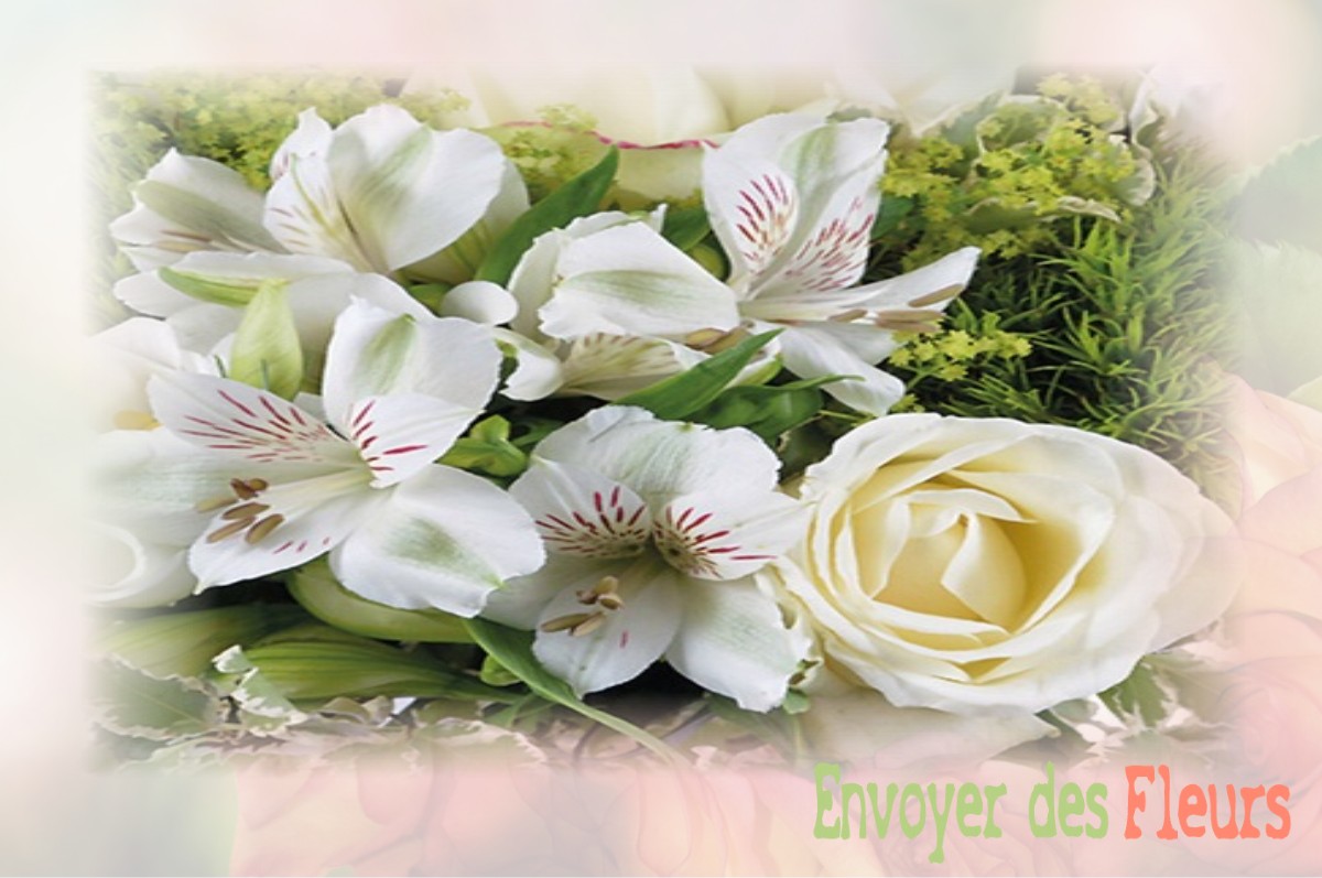 envoyer des fleurs à à SAINT-OUEN-D-AUNIS